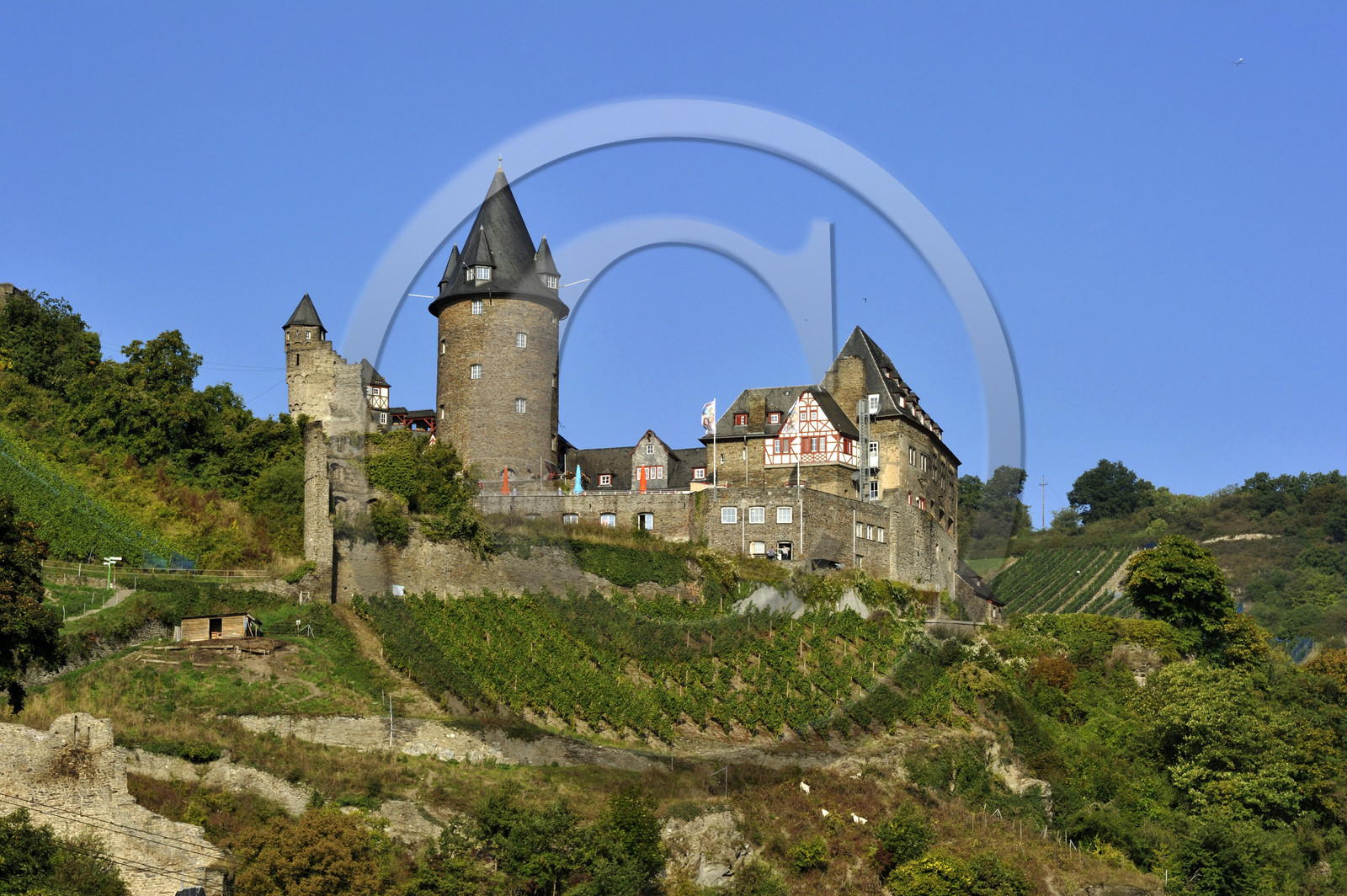 Allemagne, Rhin