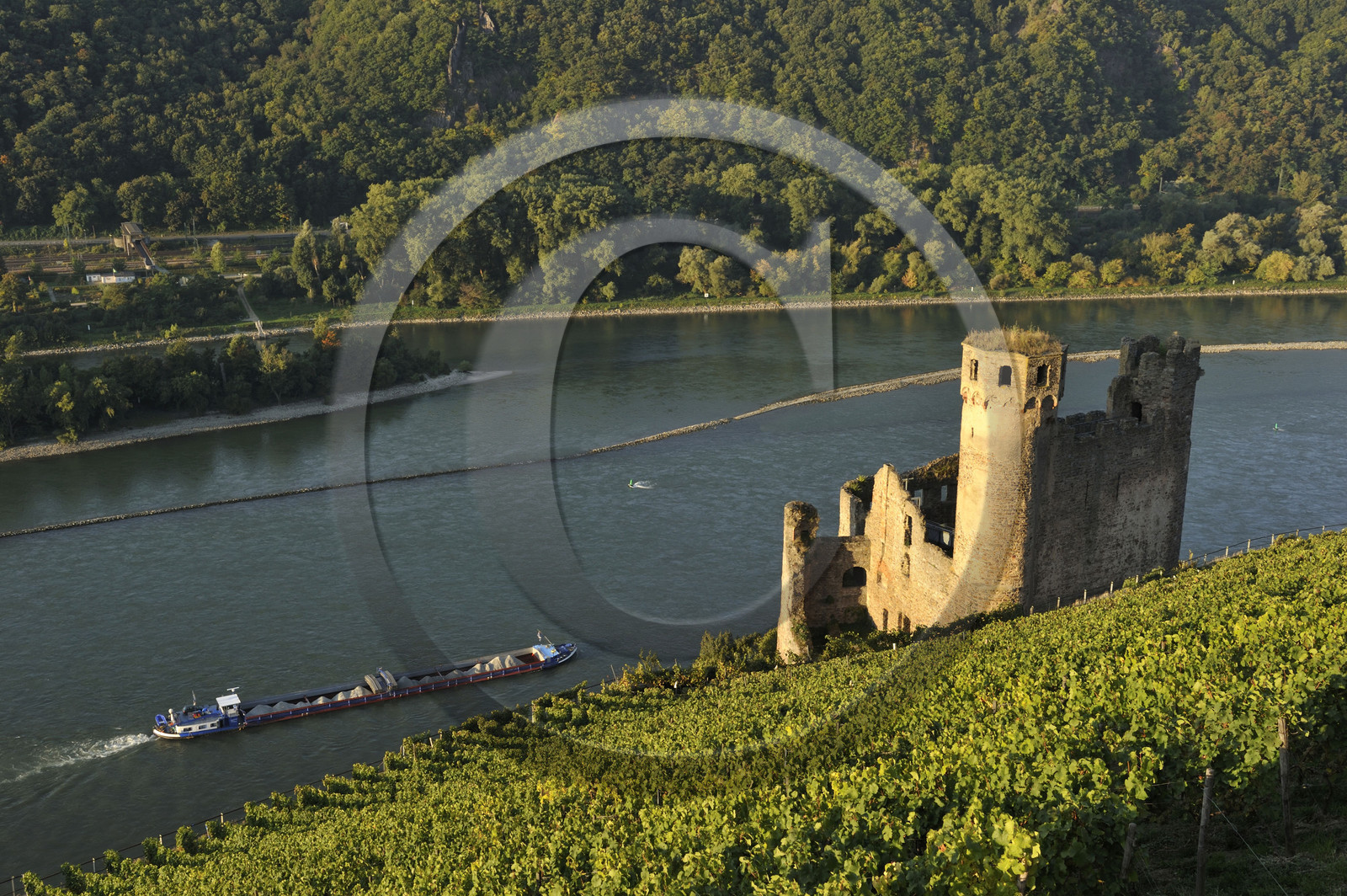 Allemangne, Rhin