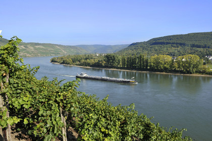 Allemagne, Rhin