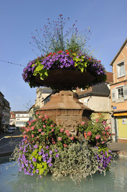 France, Haguenau
