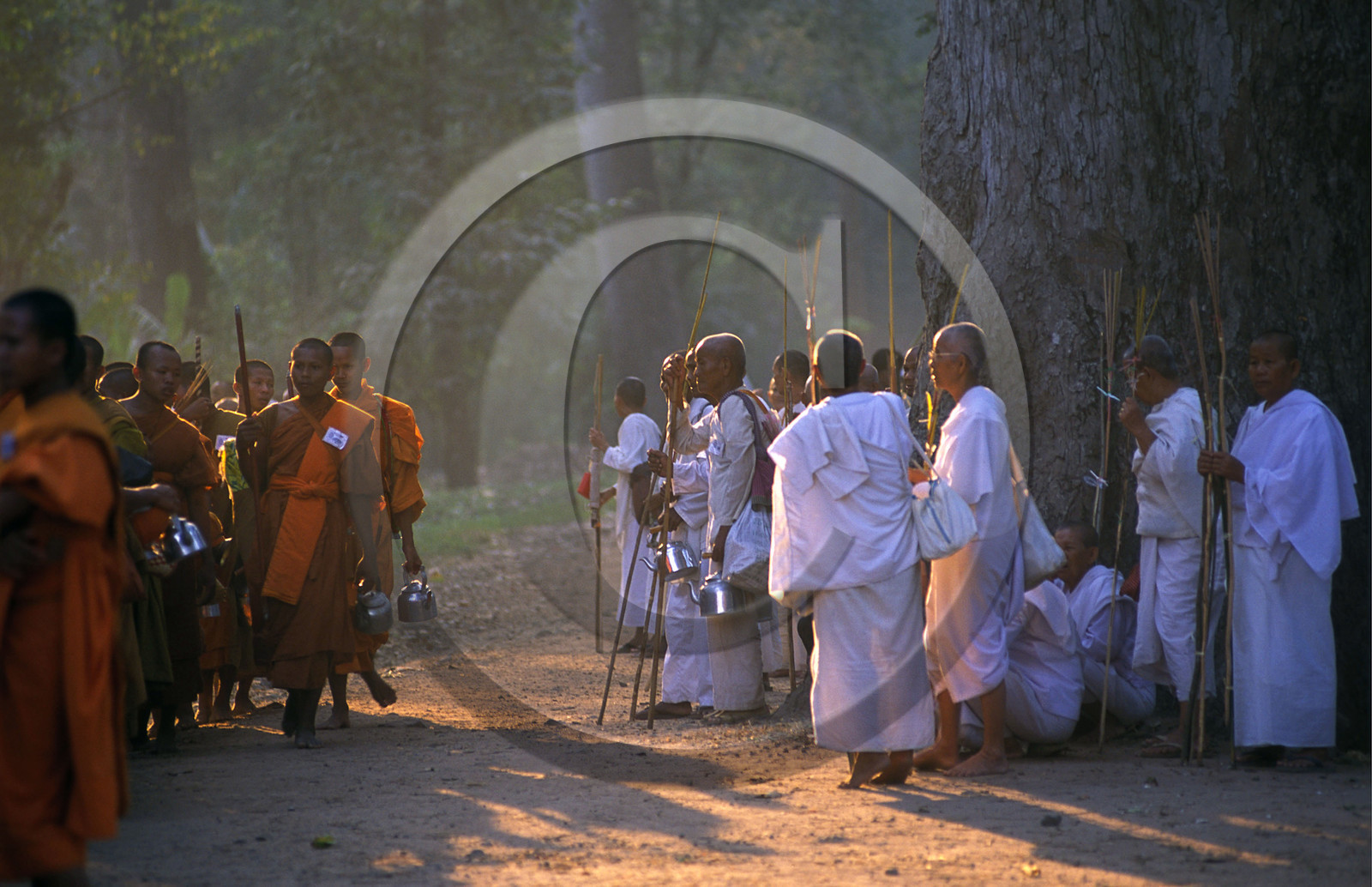 Angkor. Cambodge