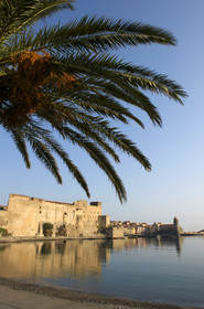 France, Collioure
