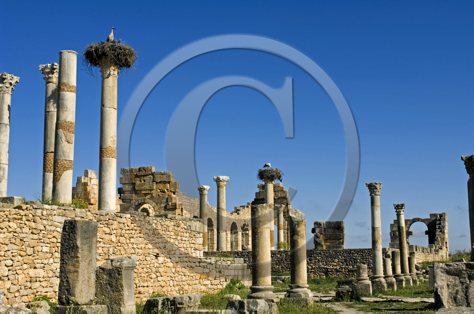 Volubilis, Morokko