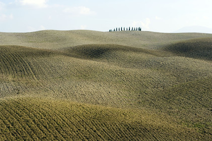 Toscana, Italia