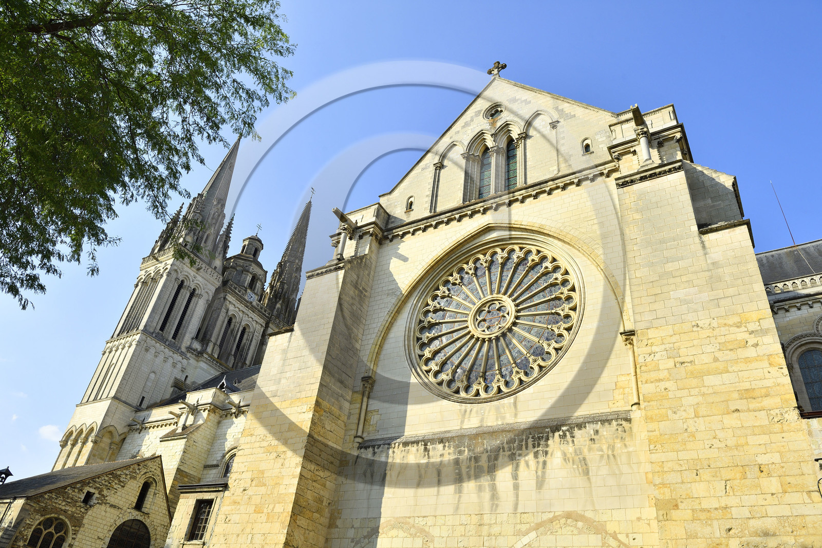 France, Angers