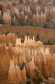 USA, BRYCE CANYON