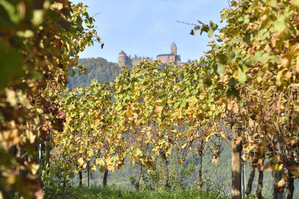 France, Strasbourg