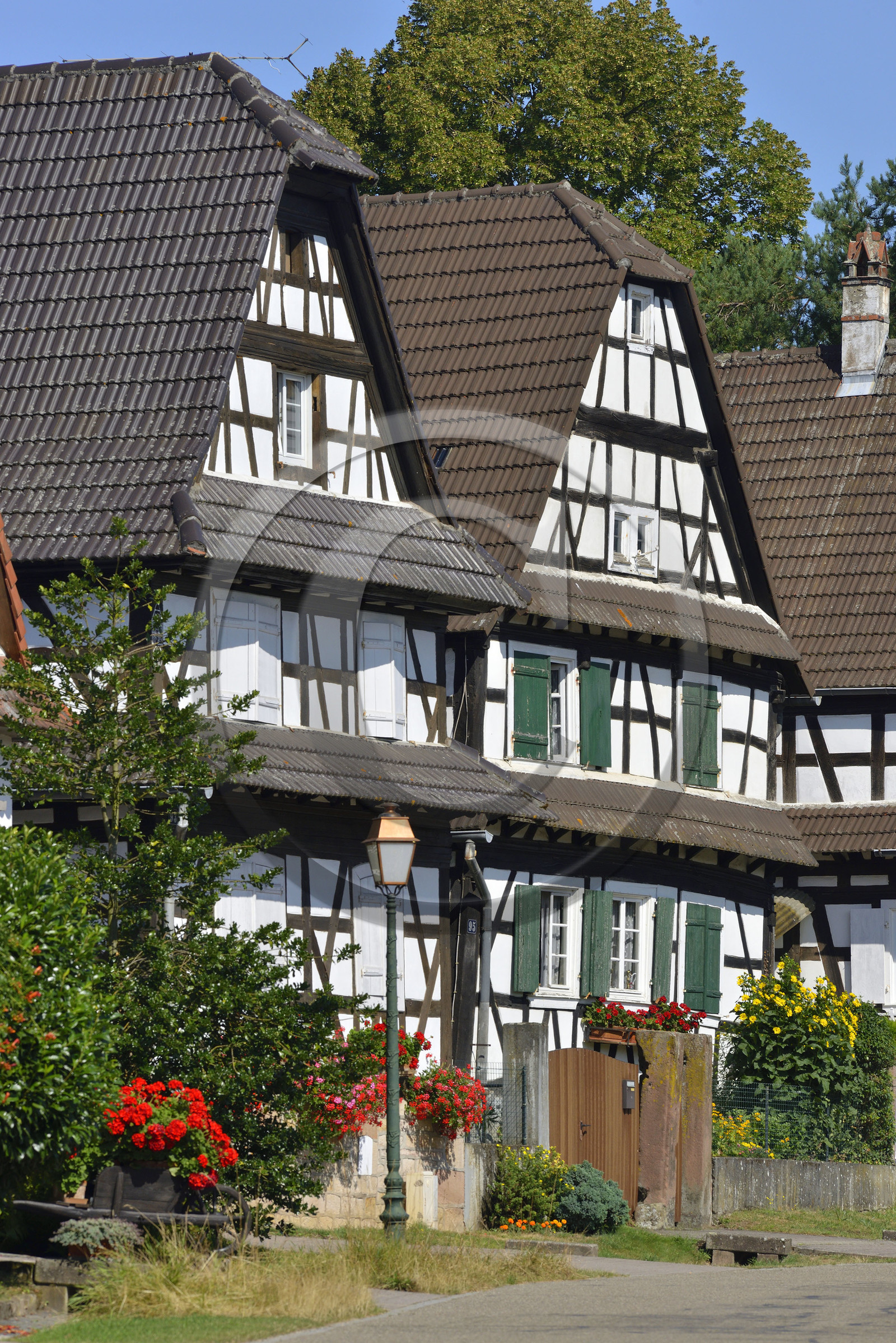 France, Seebach