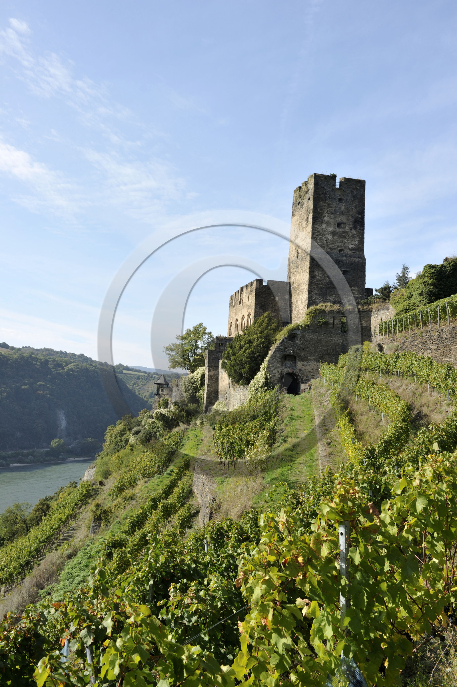 Allemangne, Rhin