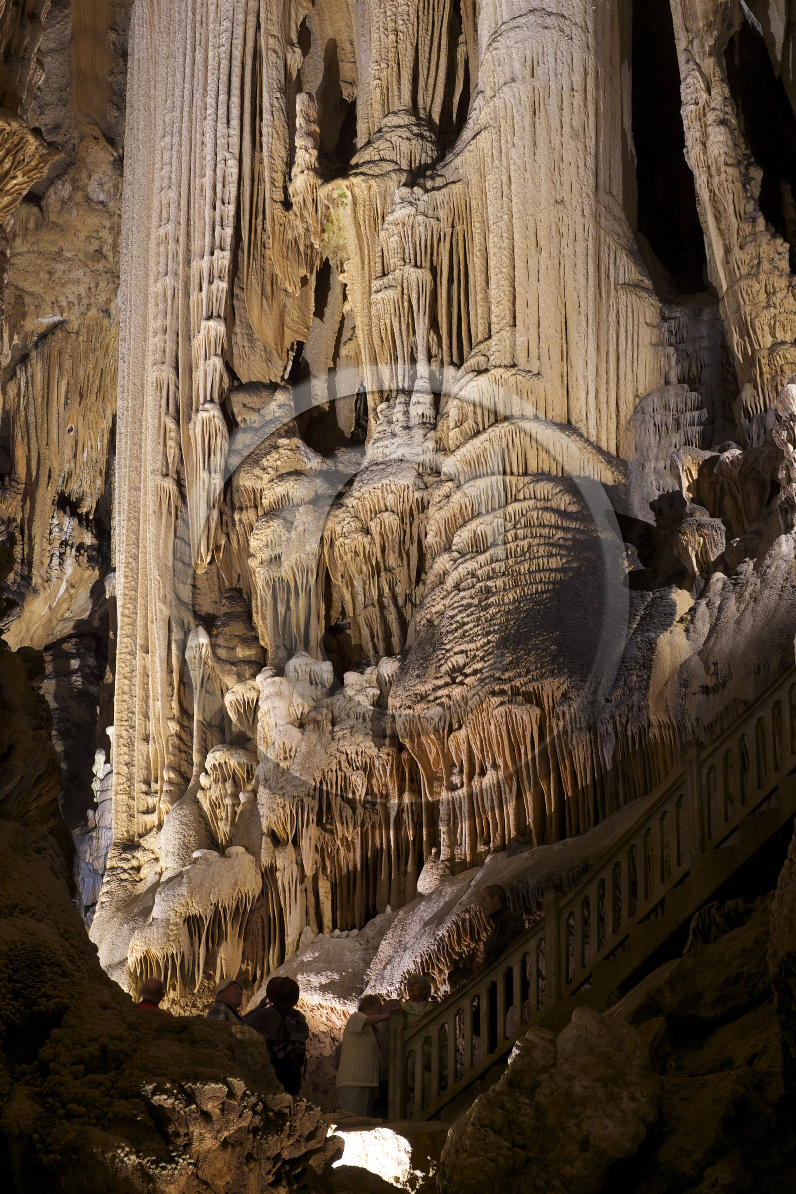 France, Demoiselles
