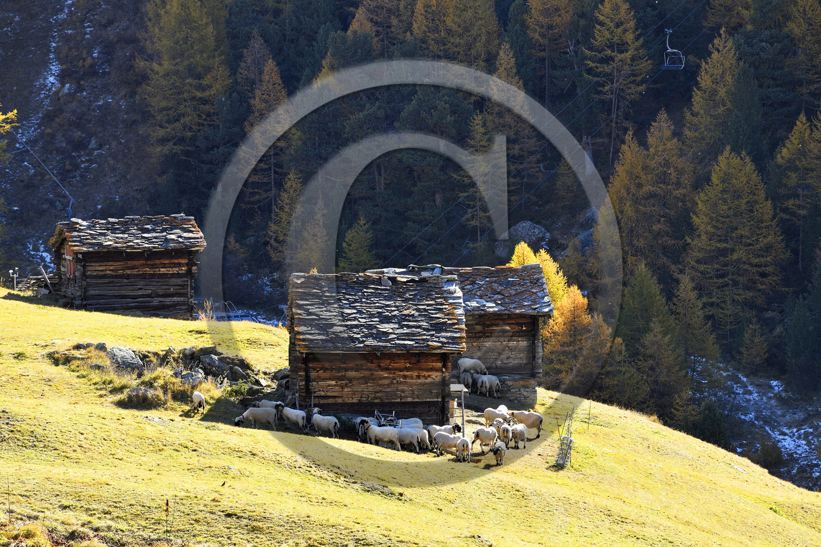 Suisse, Zermatt