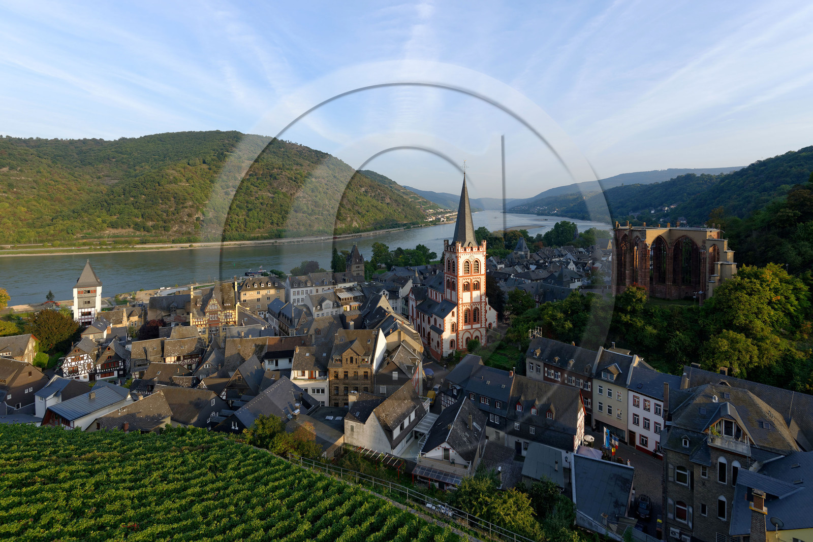 Allemagne, Rhin