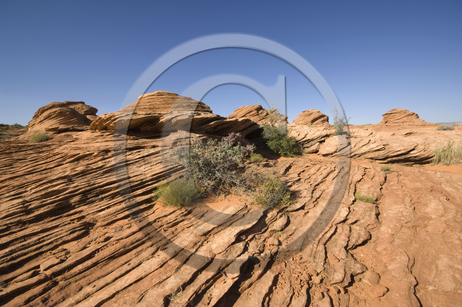 USA, GLEN CANYON