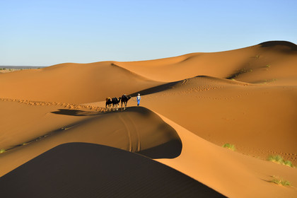 Maroc, Merzouga