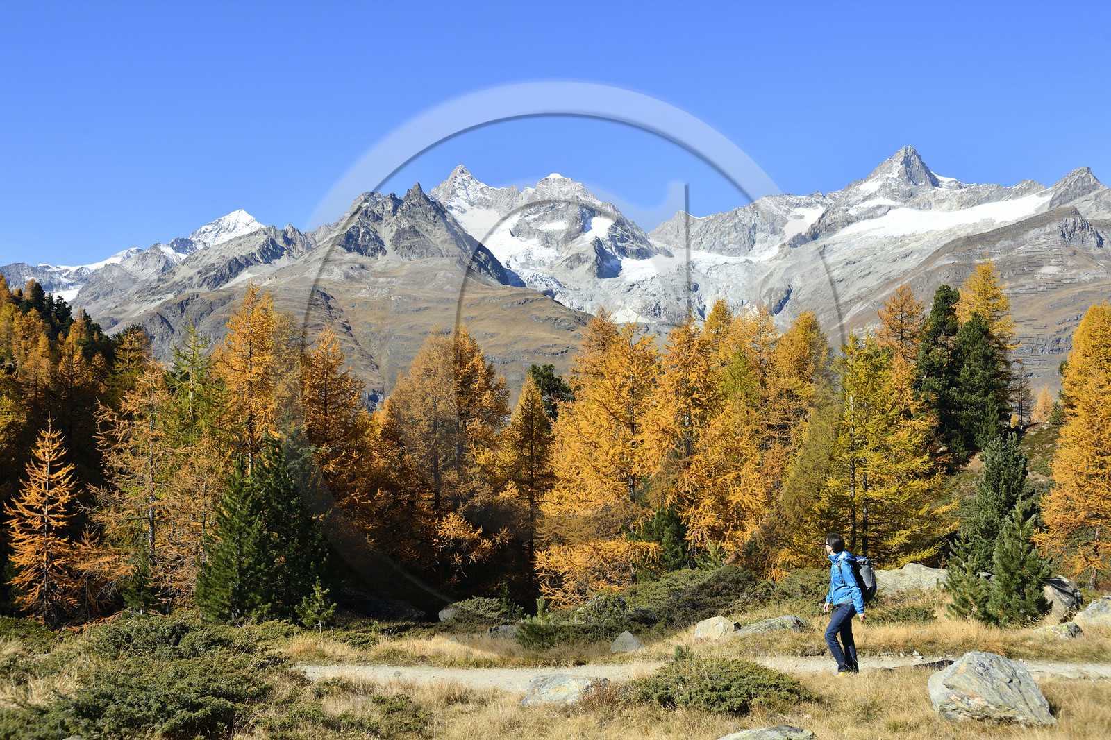Suisse, Zermatt