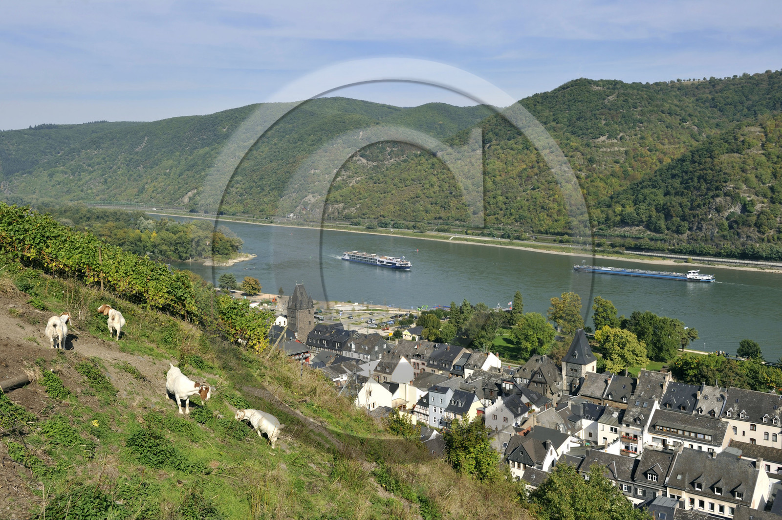 Allemagne, Rhin