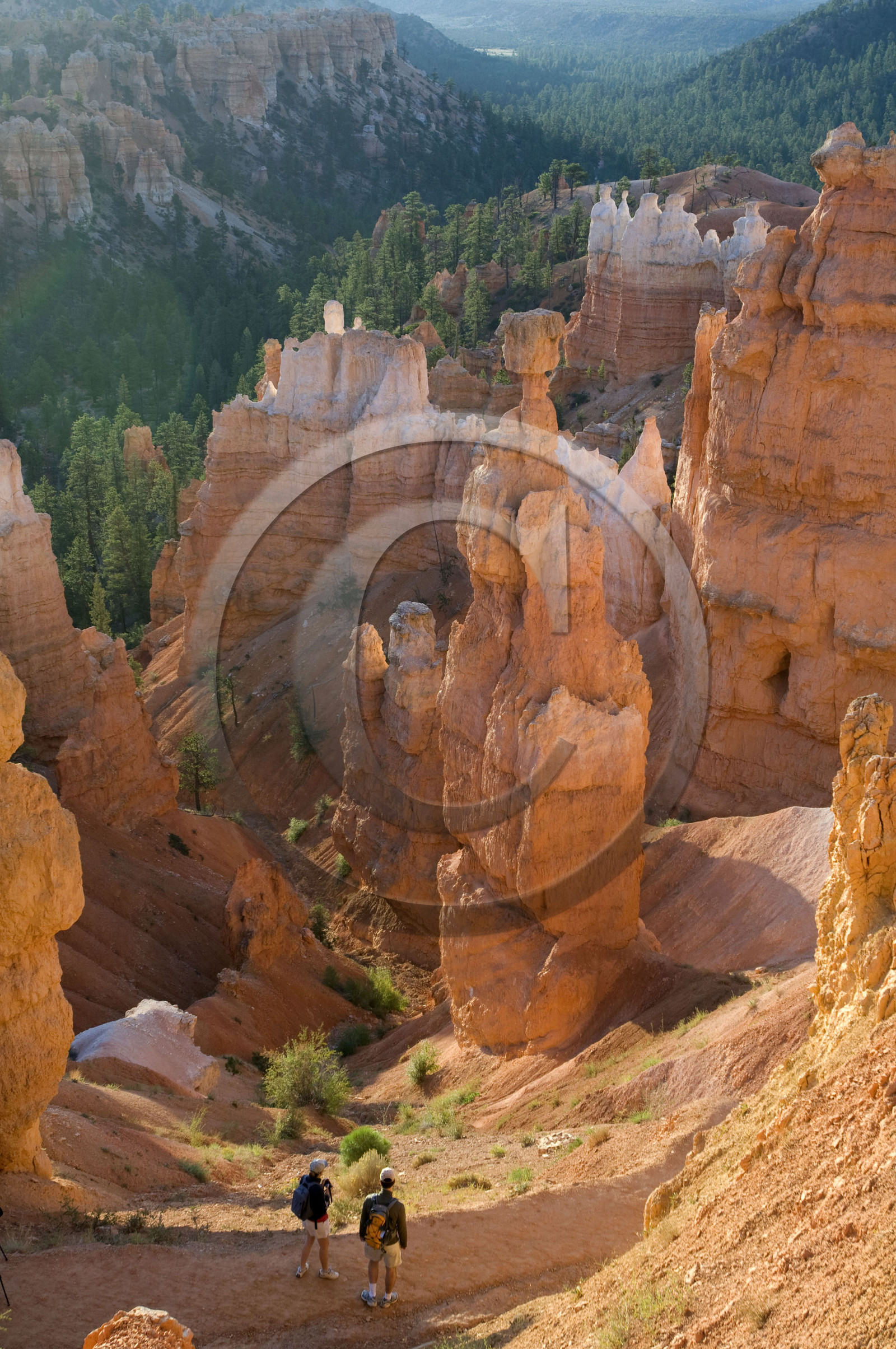 USA, BRYCE CANYON