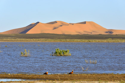 Maroc, Merzouga