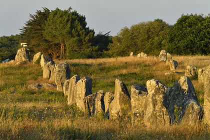 France, Carnac