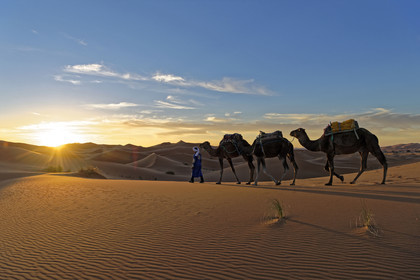 Maroc, Merzouga
