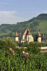 Roumanie, Biertan
