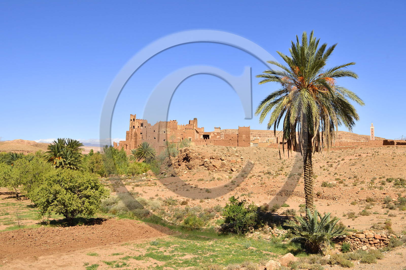 Maroc, Tamdaght