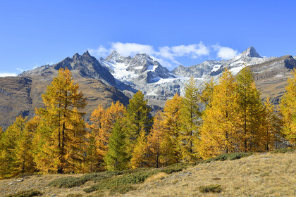 Suisse, Zermatt