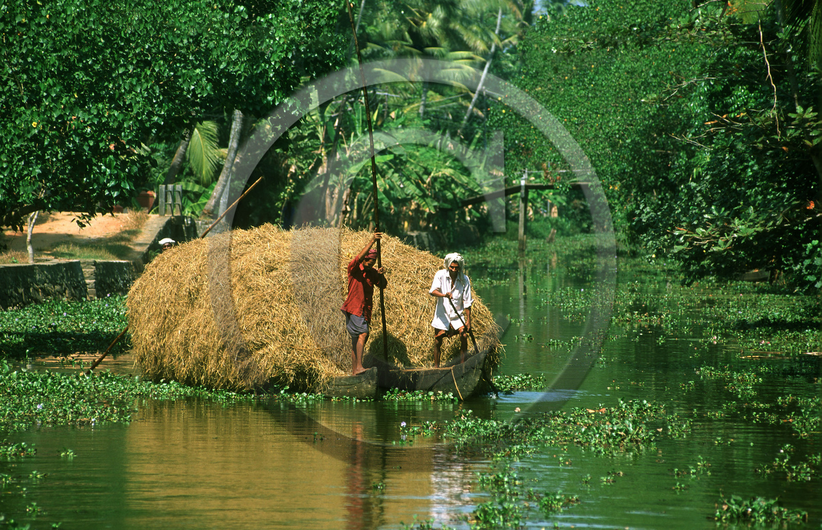Inde du Sud
