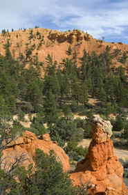 USA, RED CANYON