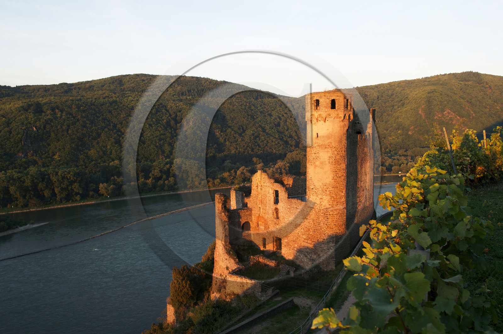 Allemangne, Rhin