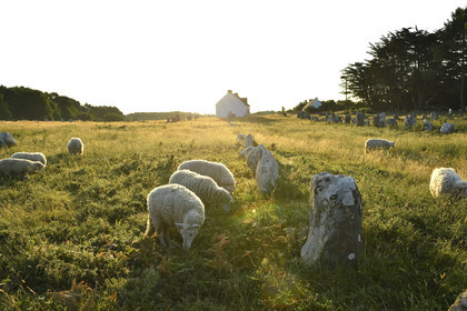France, Carnac