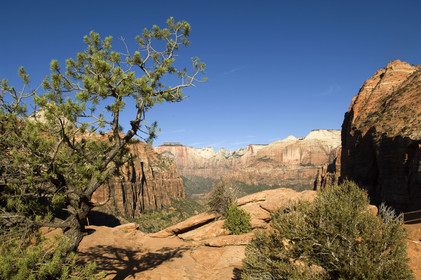 USA, ZION
