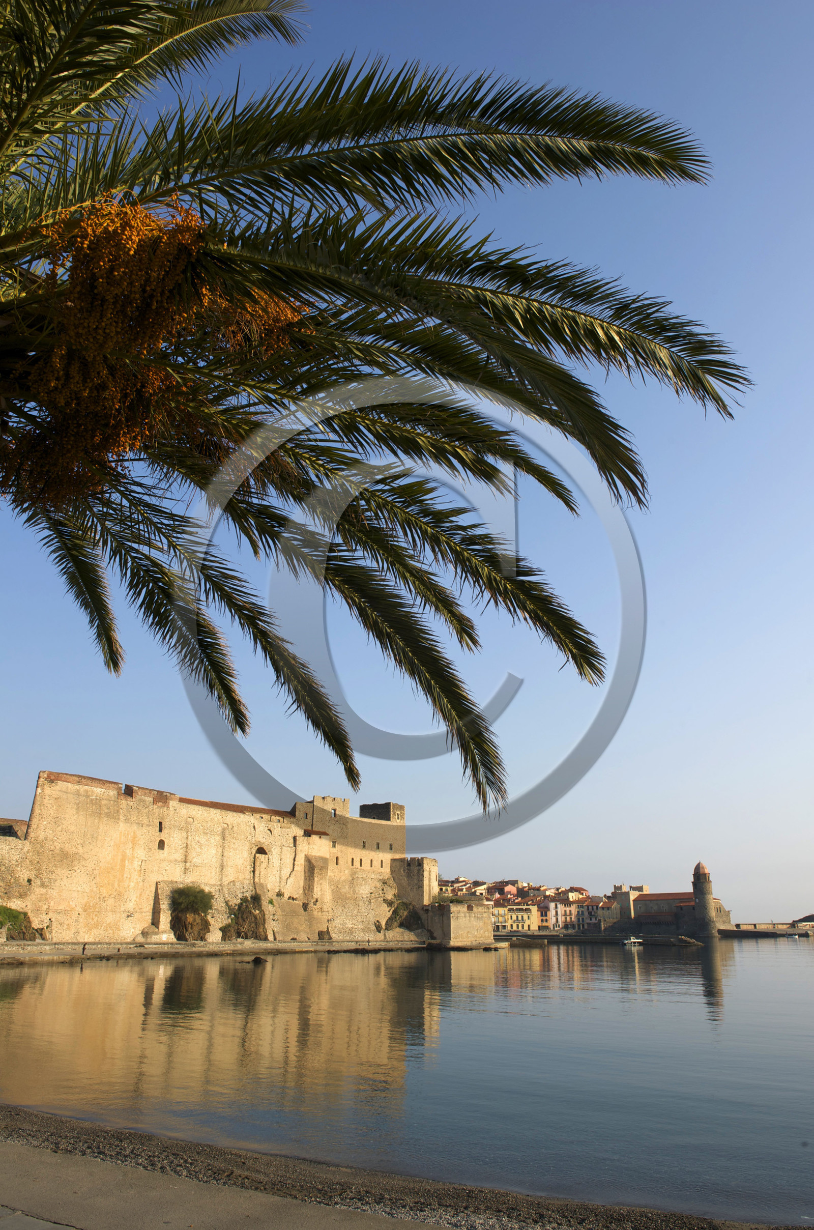 France, Collioure