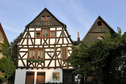 Allemagne, Rhin