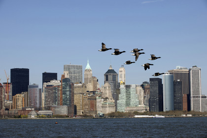USA, New York
