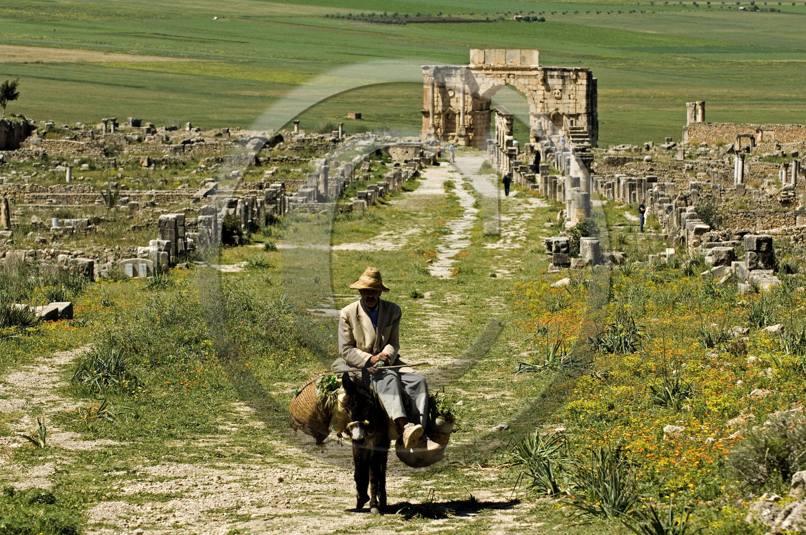Volubilis, Morokko