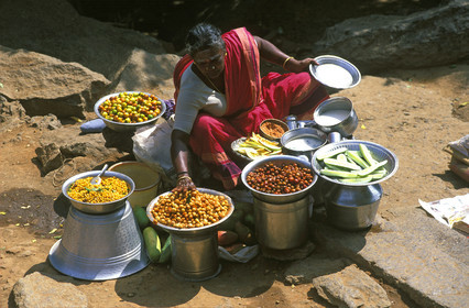 Inde du Sud