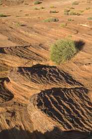 USA, GLEN CANYON