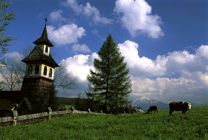 POLOGNE