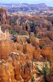 Bryce, USA