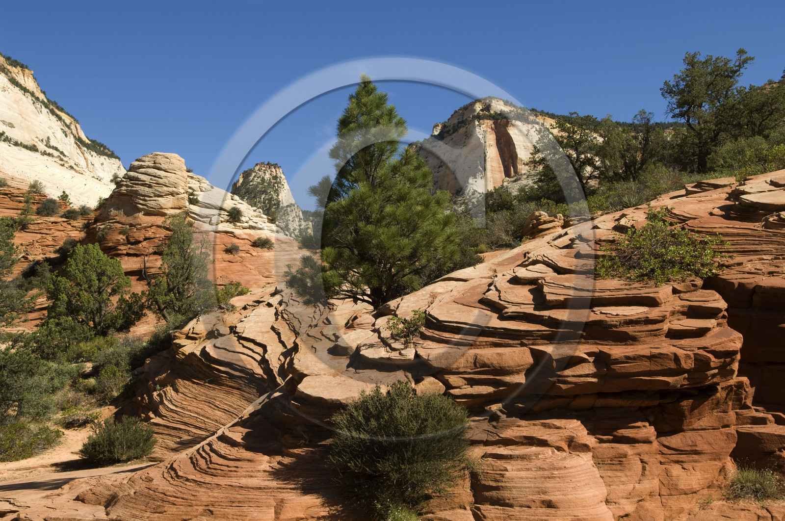 USA, ZION