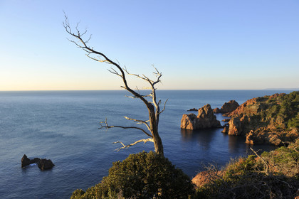 France, Dramont
