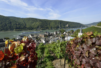Allemangne, Rhin
