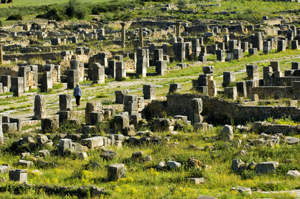 Volubilis, Morokko