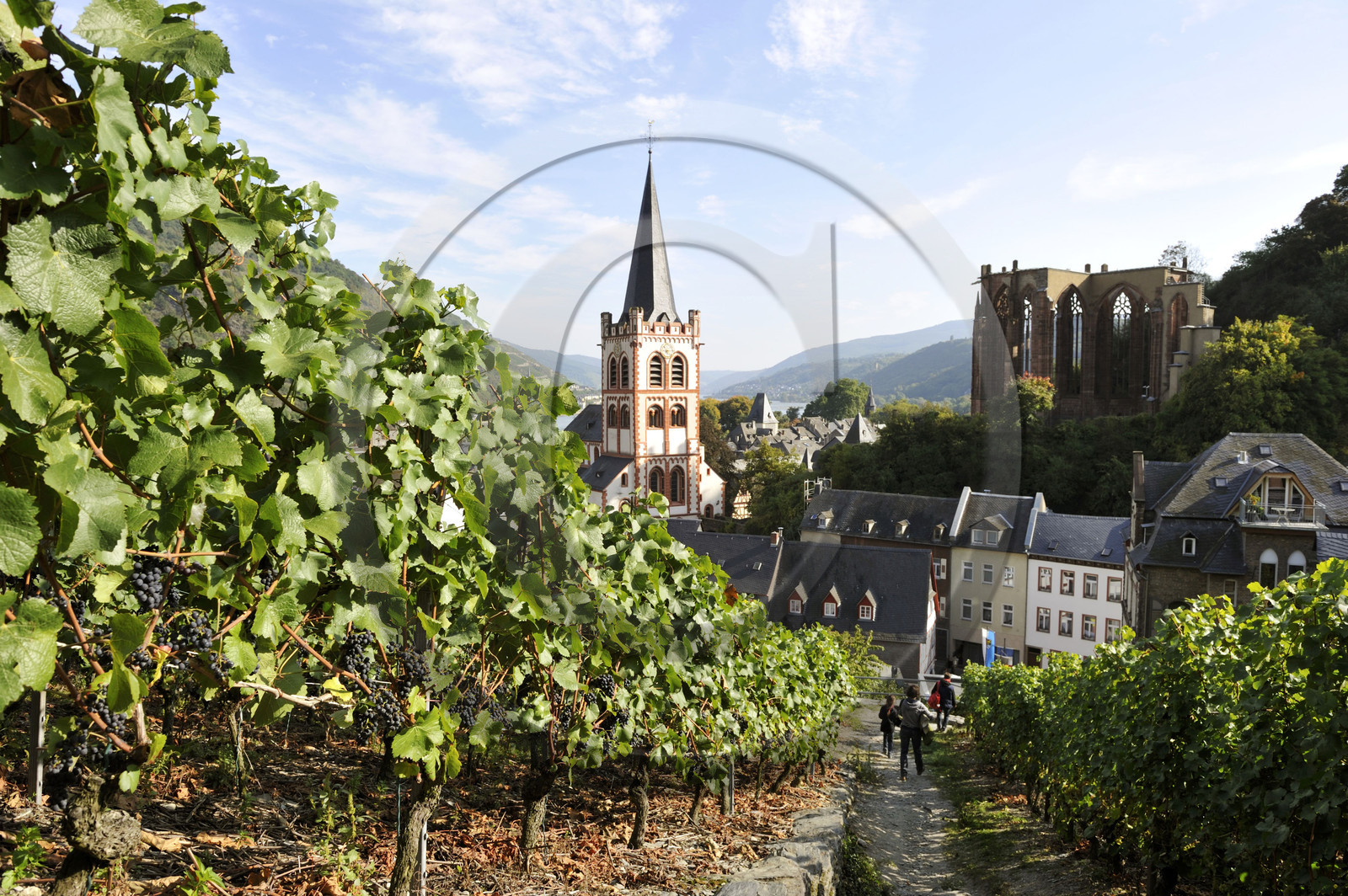 Allemagne, Rhin