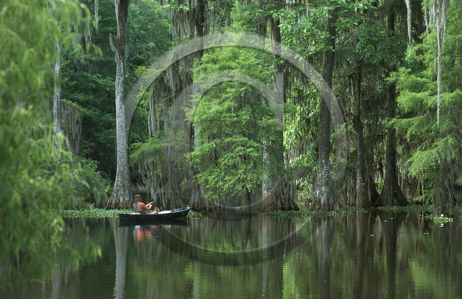 Louisiane, USA