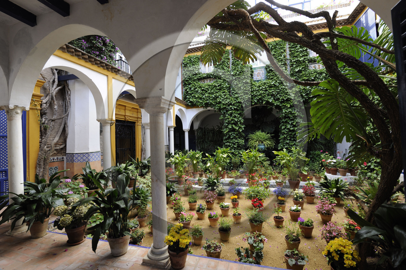 Espagne, Sevilla