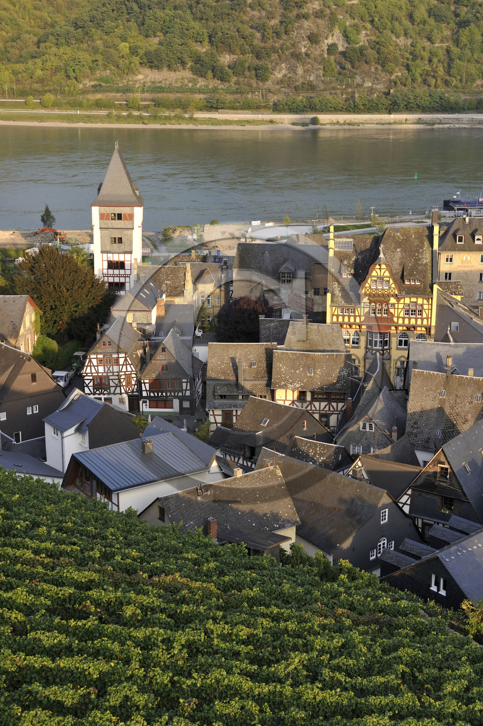 Allemagne, Rhin
