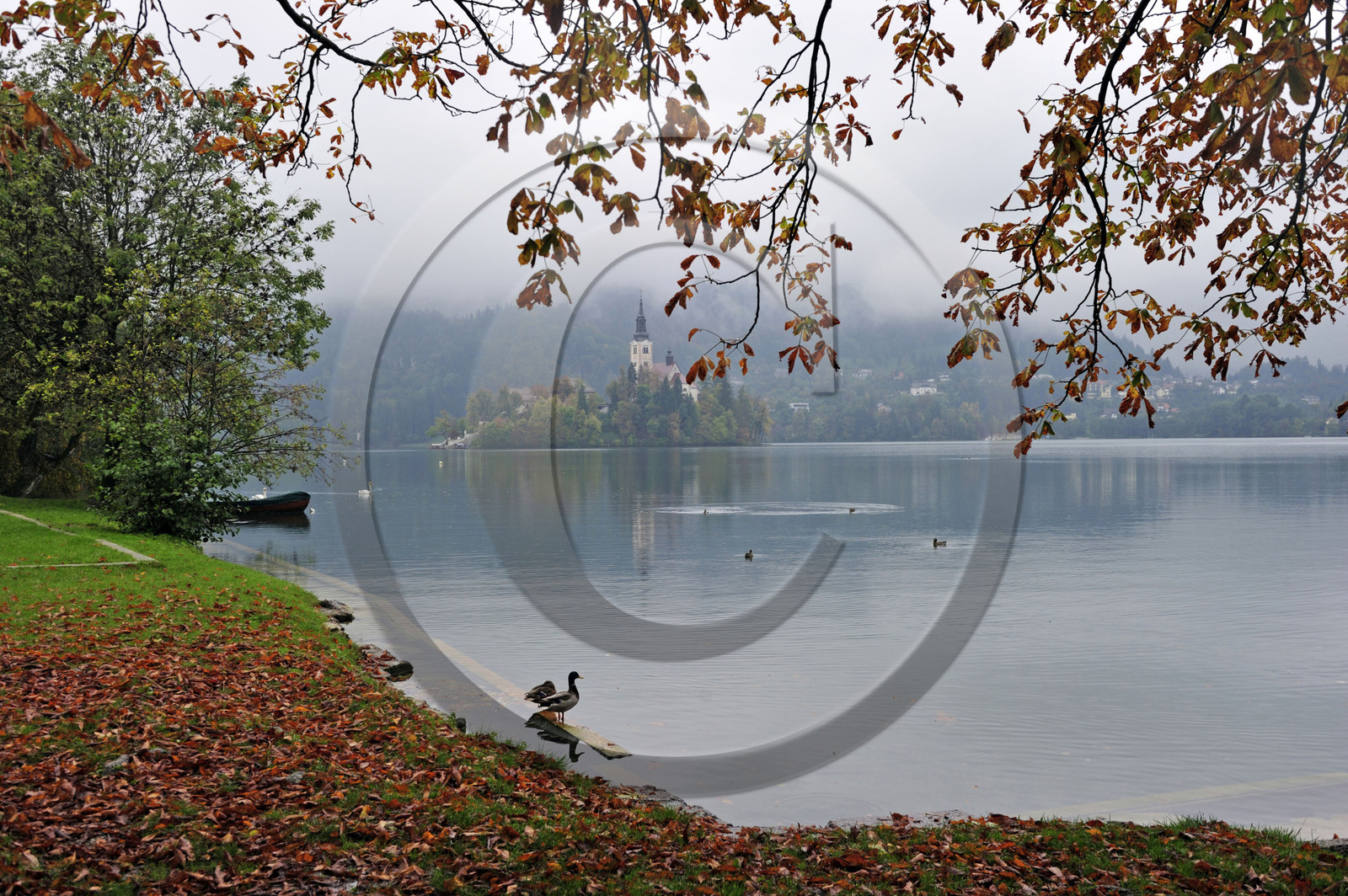 Slovenie, bled