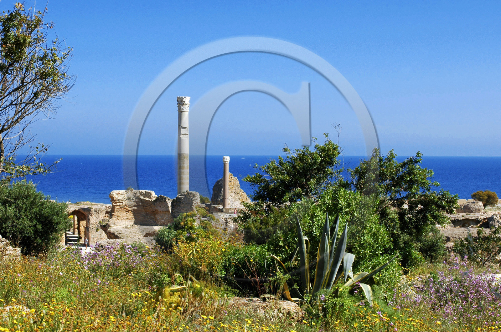 Carthage, Tunisie